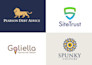 design a custom logo for you in 48h